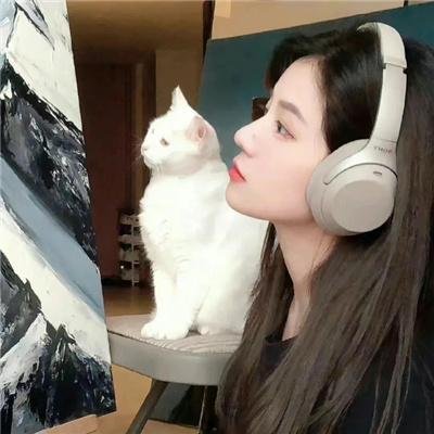孤山魅影
